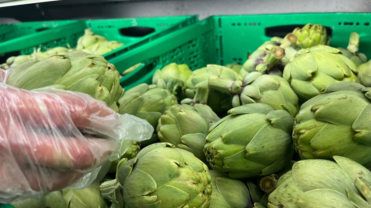 alcachofa nutriva alimentacion