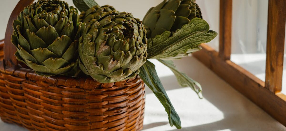 alcachofas nutriva alimentacion